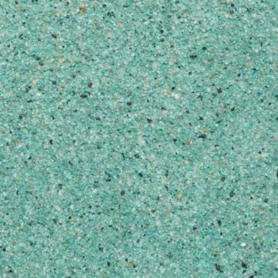 Regular Series_ Bonsai