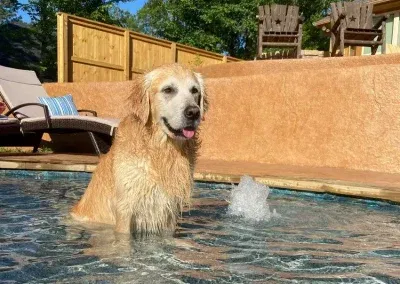 Extra Water Features