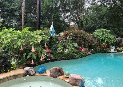 Swimming Pools and Spas