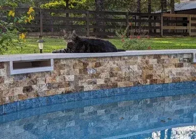 Swimming Pools and Spas